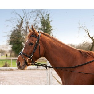 Enrênement éducatif long HippoTonic - Élastique