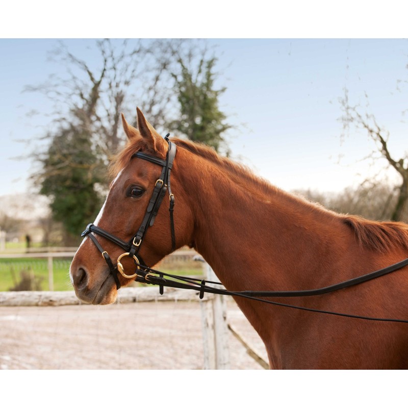 Enrênement éducatif long HippoTonic - Élastique