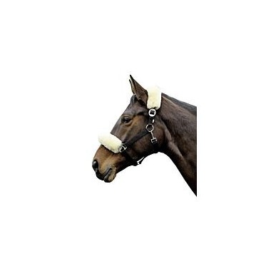 Kit mouton pour licol HKM