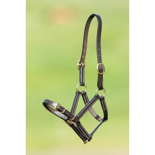 Licol en cuir poulain marron HFI