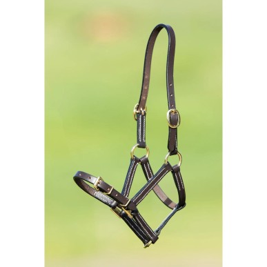 Licol en cuir poulain marron HFI