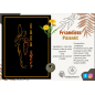 Friandises de Poches Pissenlit 1L DADA Sweet