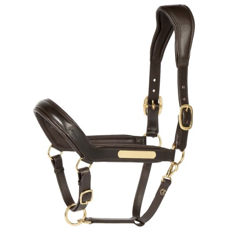 Licol En Cuir Anatomic II Brun - Harry's horse