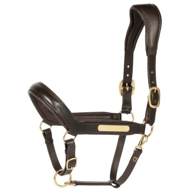 Licol En Cuir Anatomic II Brun - Harry's horse