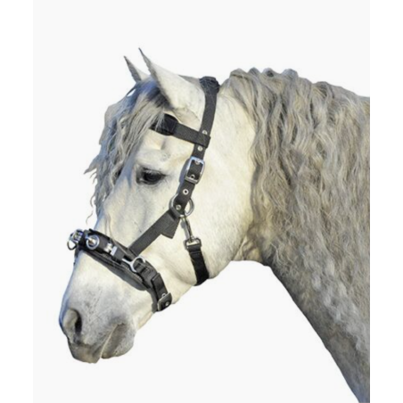 Filet caveçon en Nylon Noir pour cheval/full - HKM
