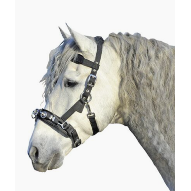 Licol en Nylon Noir pour cheval/full - HKM
