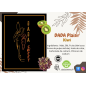 Friandises DADASWEET soufflées Kiwi - 1L Friandises DADASWEET soufflées Kiwi - 1L