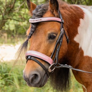 Bridon poney Diva rose Harry's Horse