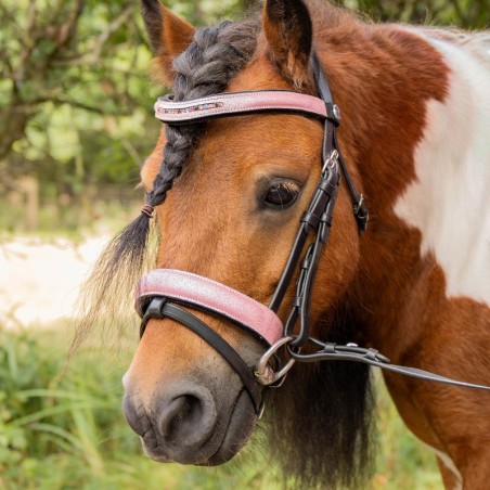 Bridon poney Diva rose Harry's Horse