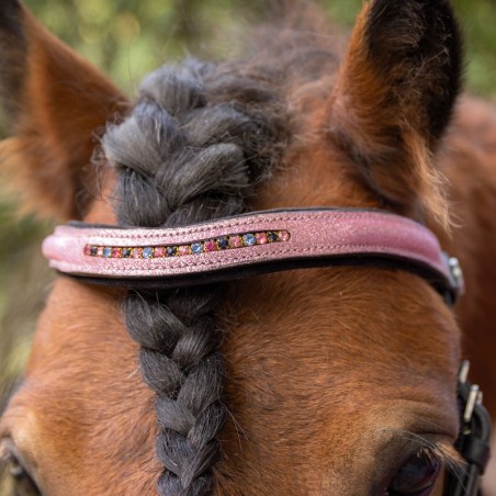 Bridon poney Diva rose Harry's Horse