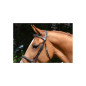 Jump'in - Bridons - Bridon Crystal Fabric Jump'in Jump'in - Bridons - Bridon Crystal Fabric Jump'in