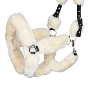 Licol Equestro nylon avec revetement mouton synthétique - Blanc