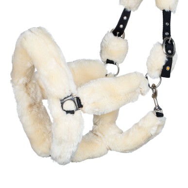 Licol Equestro nylon avec revetement mouton synthétique - Blanc