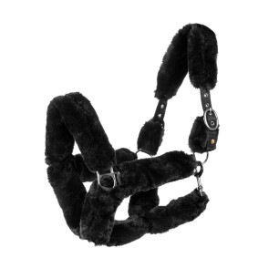 Licol Equestro nylon avec revetement mouton synthétique - Noir