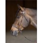 Bridon sans mors HFI Freedom Bitless - Marron Bridon sans mors HFI Freedom Bitless - Marron