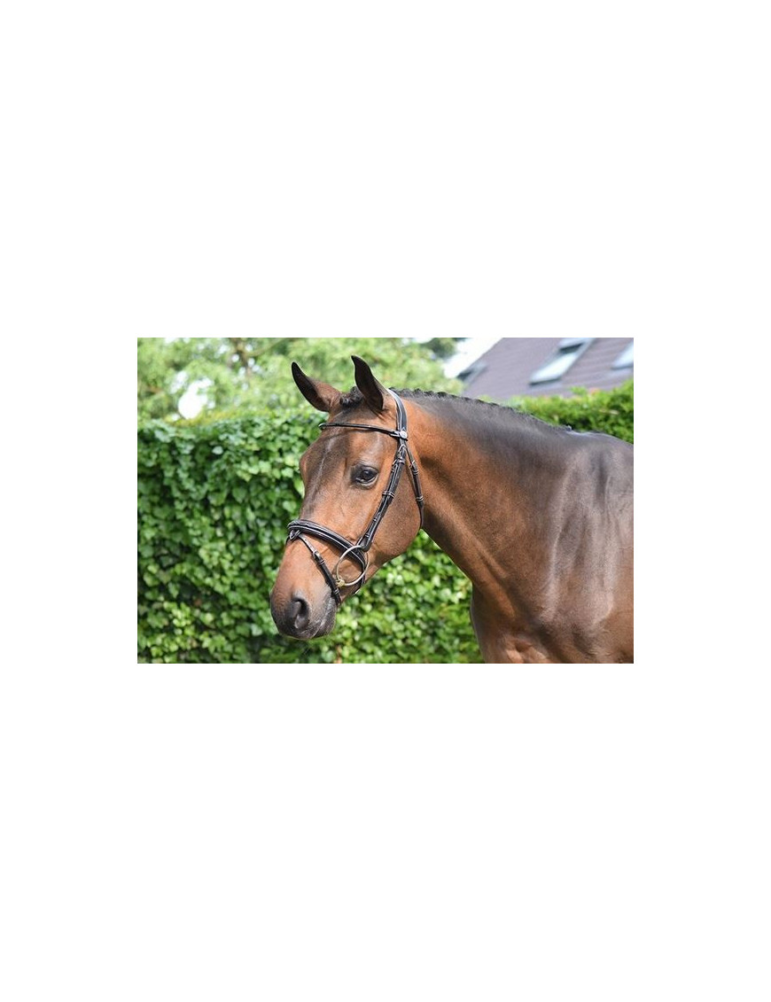 Jump'in - Bridons - Bridon Wednesday