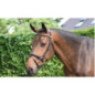 Jump'in - Bridons - Bridon Wednesday