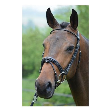 Jump'in - Bridons - Bridon Wednesday