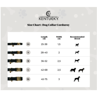 Kentucky - Colliers chiens - Collier pour chien Corduroy