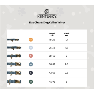 Kentucky - Colliers chiens - Collier pour chien Velvet