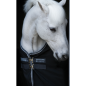 Chemise de Box Rambo Stable Sheet Marine - Horseware Chemise de Box Rambo Stable Sheet Marine - Horseware