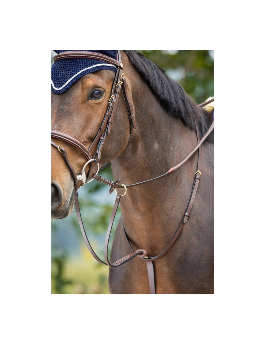Martingale à anneaux HFI - noir Martingale à anneaux HFI - noir