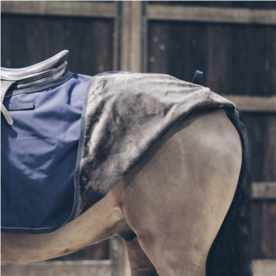 Kentucky - Couvre Reins - Couvre Reins Carré All Weather 160 Gr