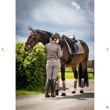 LeMieux - Cheval - Set de 4 bandes de polo Loire Satin Truffle S/M