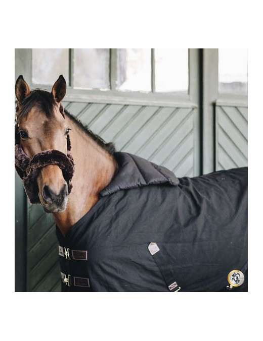 Plastron Anti-Frottements Noir - Kentucky