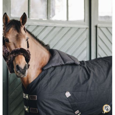 Kentucky - Accessoire de Couverture - Horse Bib Summer