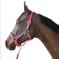 Set licol et longe Flags and cup Panama fuchsia