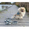 Laisses pour chiens