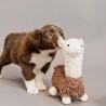 Jouets pour chiens