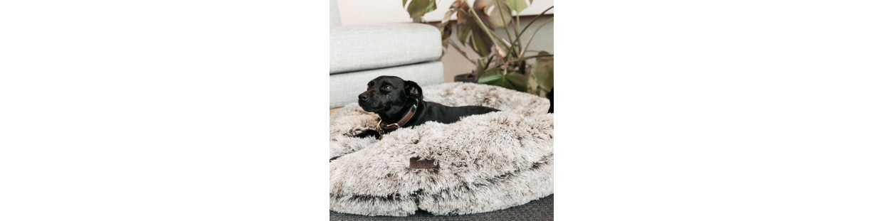 Paniers et matelas pour chiens