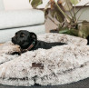 Paniers et matelas pour chiens