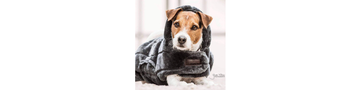 Manteaux pour chiens