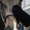 Brosses peignes et gants
