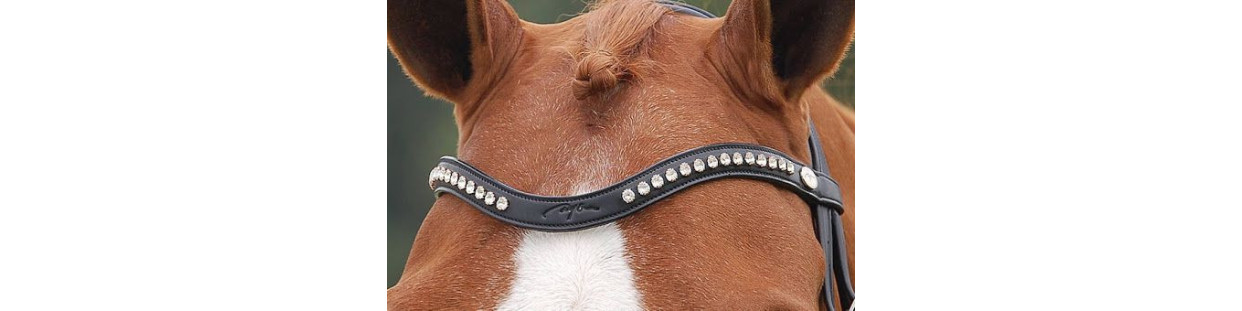 Accessoires et pièces détachées